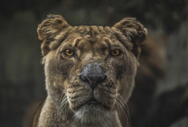 Klinik swasta di Bali yang melayani pasien asing dan ekspatriat