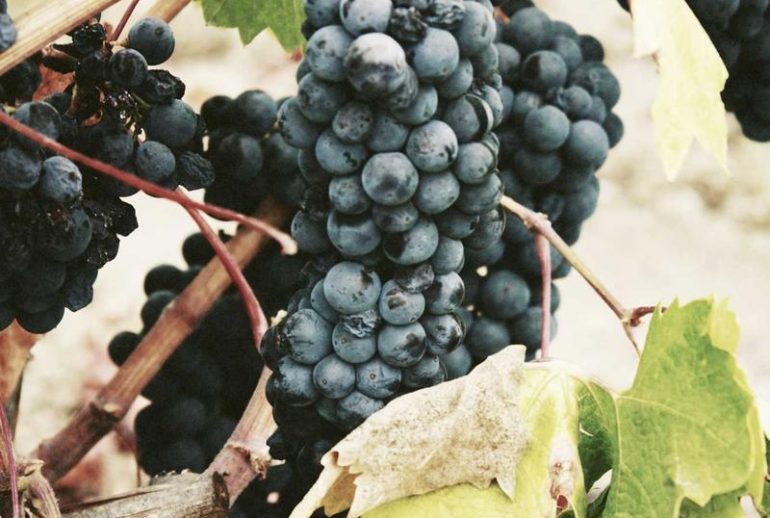 Klinik swasta di Batam untuk ekspatriat yang bekerja di Singapura