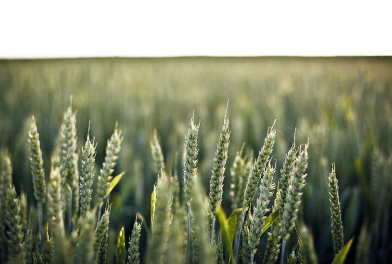 Asuransi kesehatan di Surabaya untuk pekerja asing